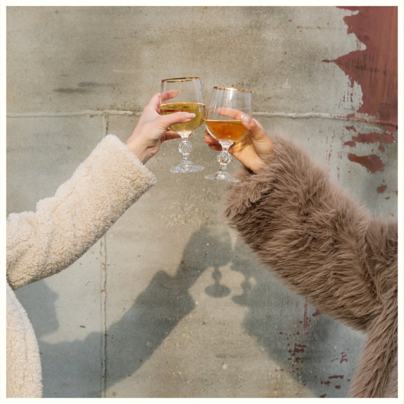 Two people clink small glasses of amber drinks, wearing fleece and fur coats, against a concrete wall backdrop. | Borealis Bison Barns | Palmer, AK